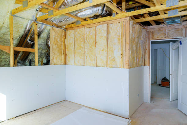 Best Spray Foam Insulation  in Clara City, MN