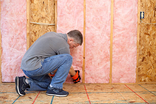 Best Insulation for Existing Homes  in Clara City, MN