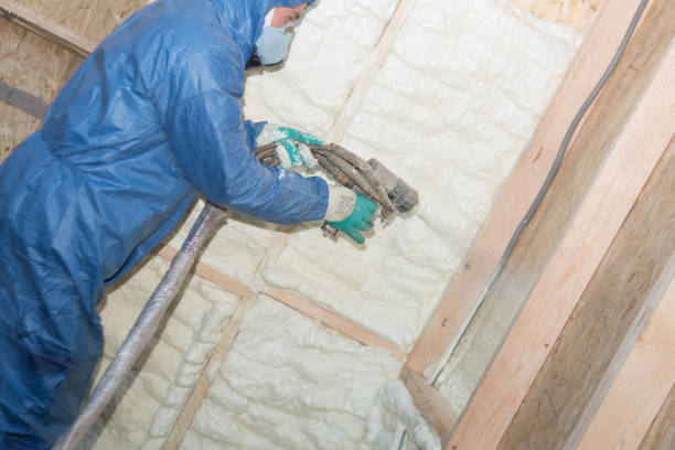 Best Batt and Roll Insulation  in Clara City, MN